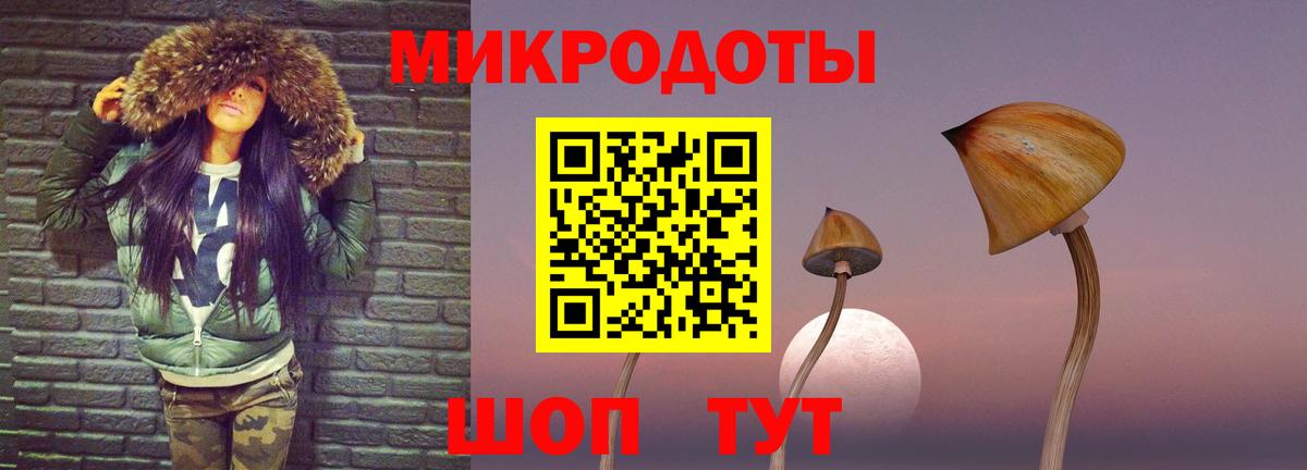 Псилоцибиновые грибы Psilocybe  Вход с VPN  Шебекино 
